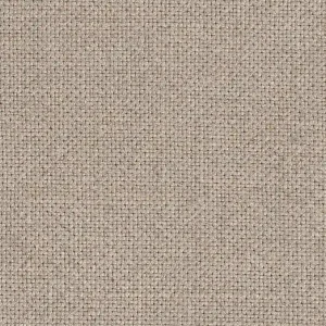 Linen Fabric Natural LI06