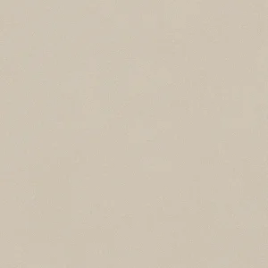 Microsuede Beige MS02