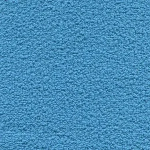 Teddy Fabric Blue TD19
