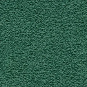 Teddy Fabric Dark Green TD16