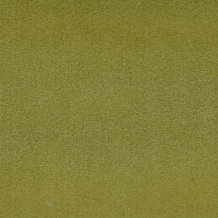 Velvet Fabric Olive VF21