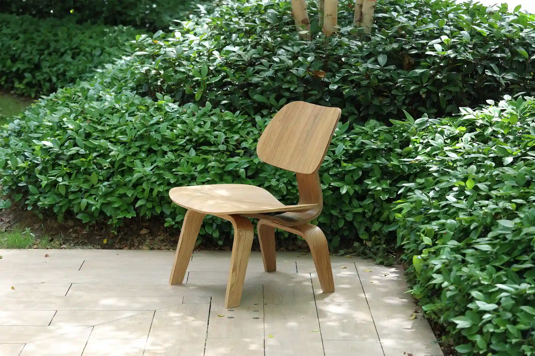 eames-inspired-lcw-plywood-chair-cl037wd01s-015