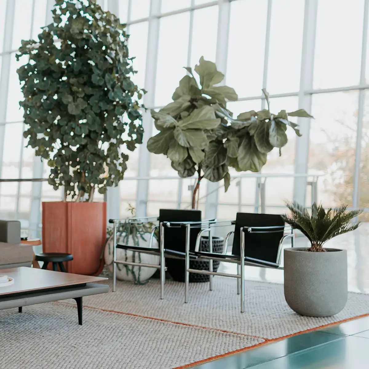 lc1-chair-cl386le01s-002