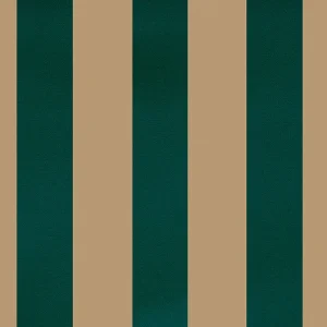 Striped Green and Apricot S21