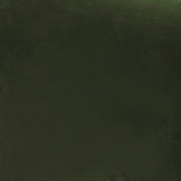 Velvet Fabric Dark Olive VF28