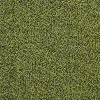Olive BS04